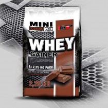 Vision Nutrition Whey Gainer
